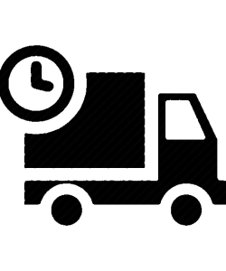 Fast Delivery Ikon